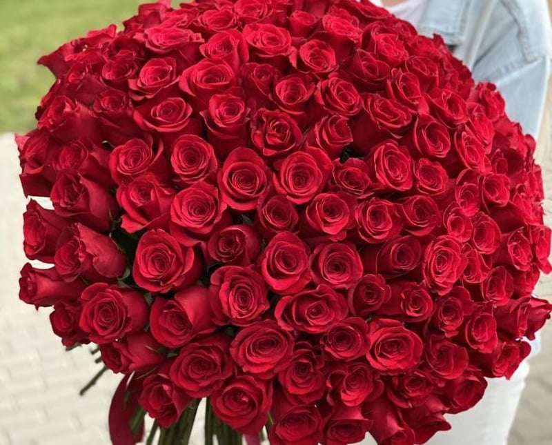 Special for Her 151 Classic Red Roses