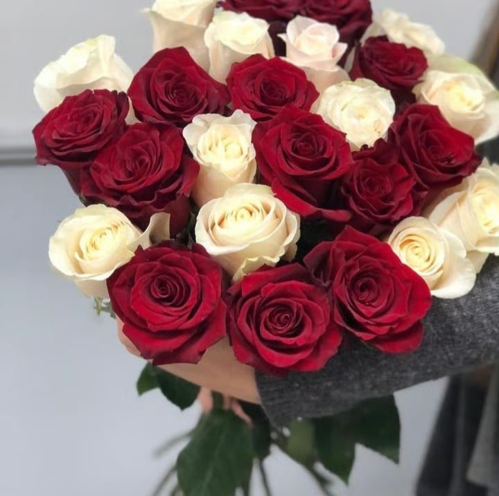 Special Classic 25 Red and White Roses
