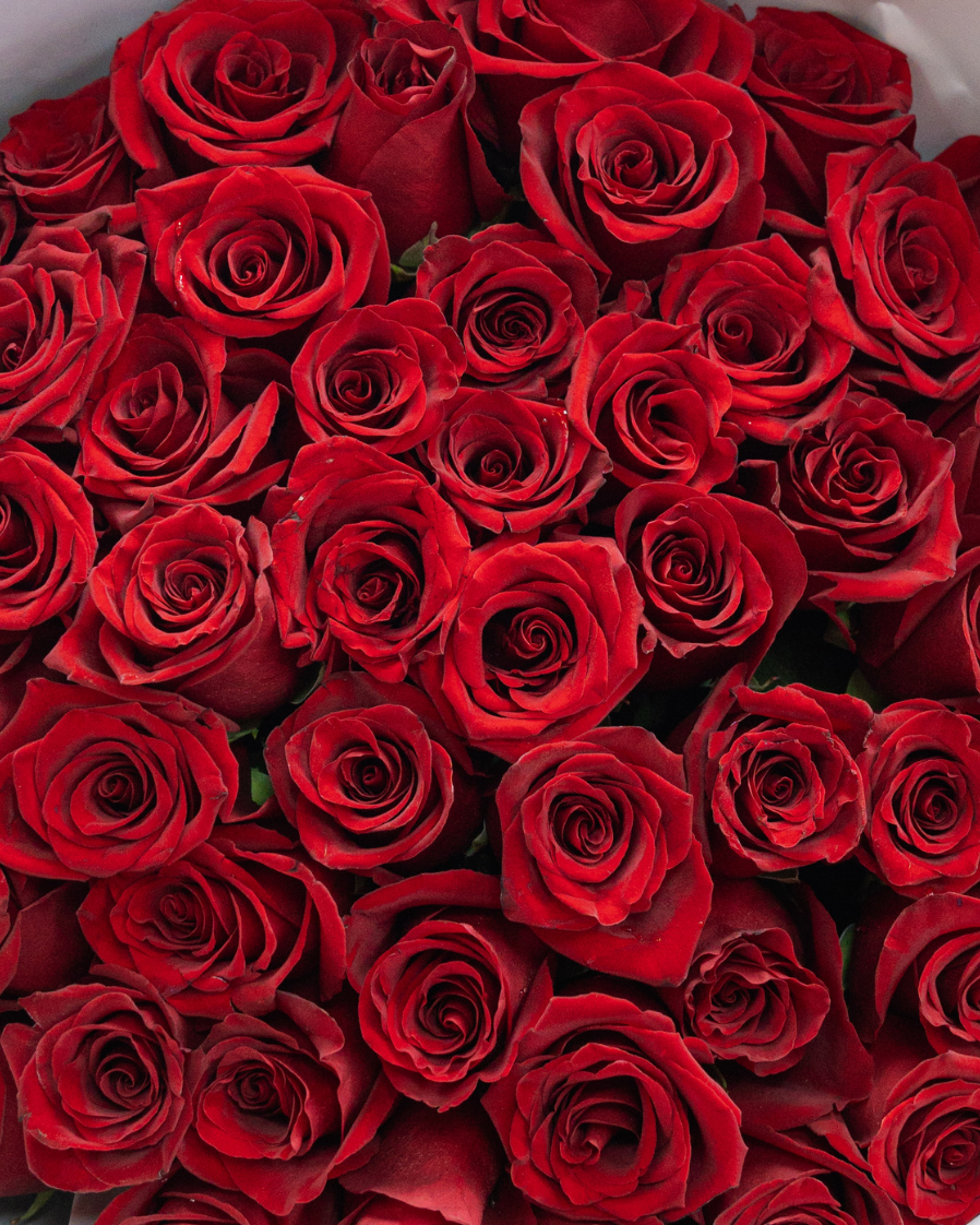 51 DELUXE RED ROSES