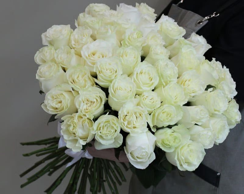 Classic 51 White Roses