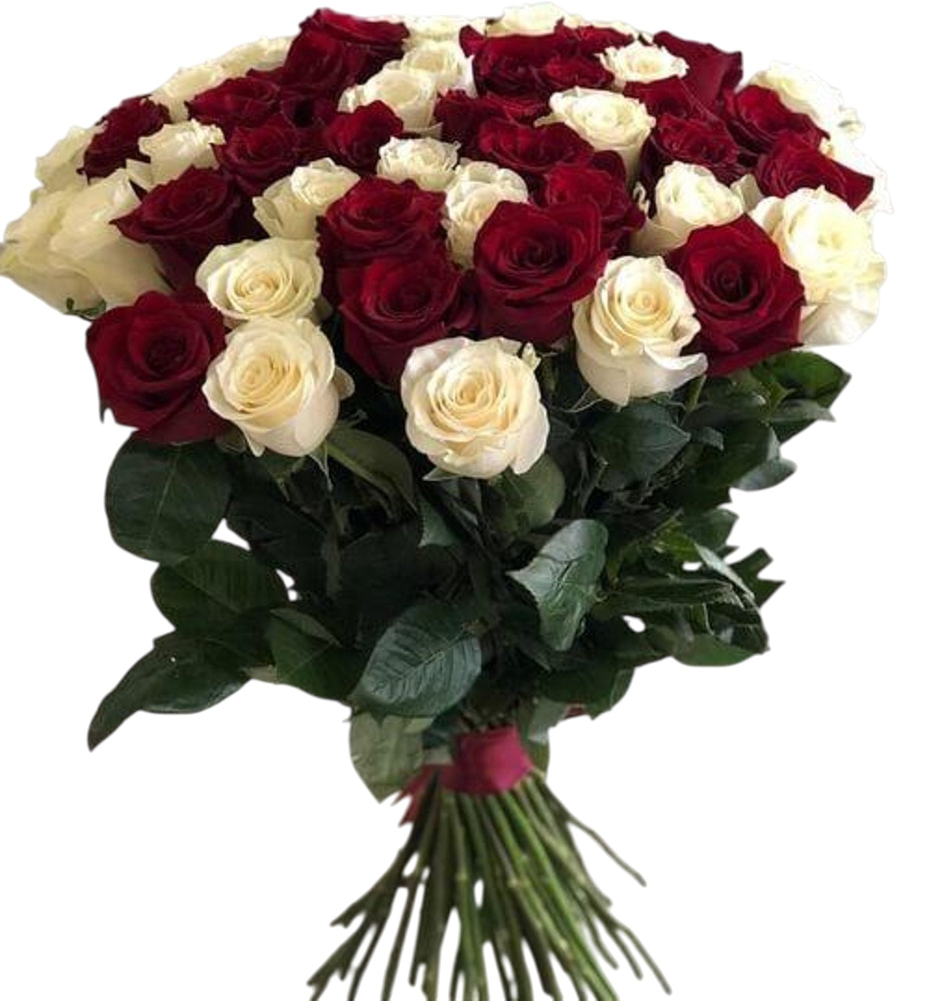 Special Classic 50 Mix Red and White Roses