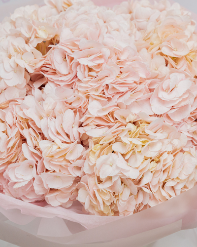 PINK HORIZON FLOWER BOUQUET