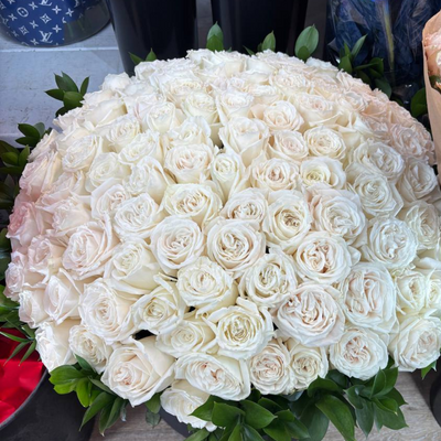 151 White Roses Bouquet