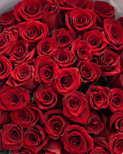 51 DELUXE RED ROSES