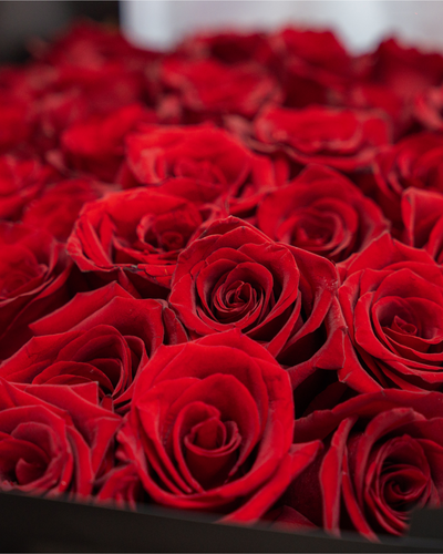 51 DELUXE RED ROSES