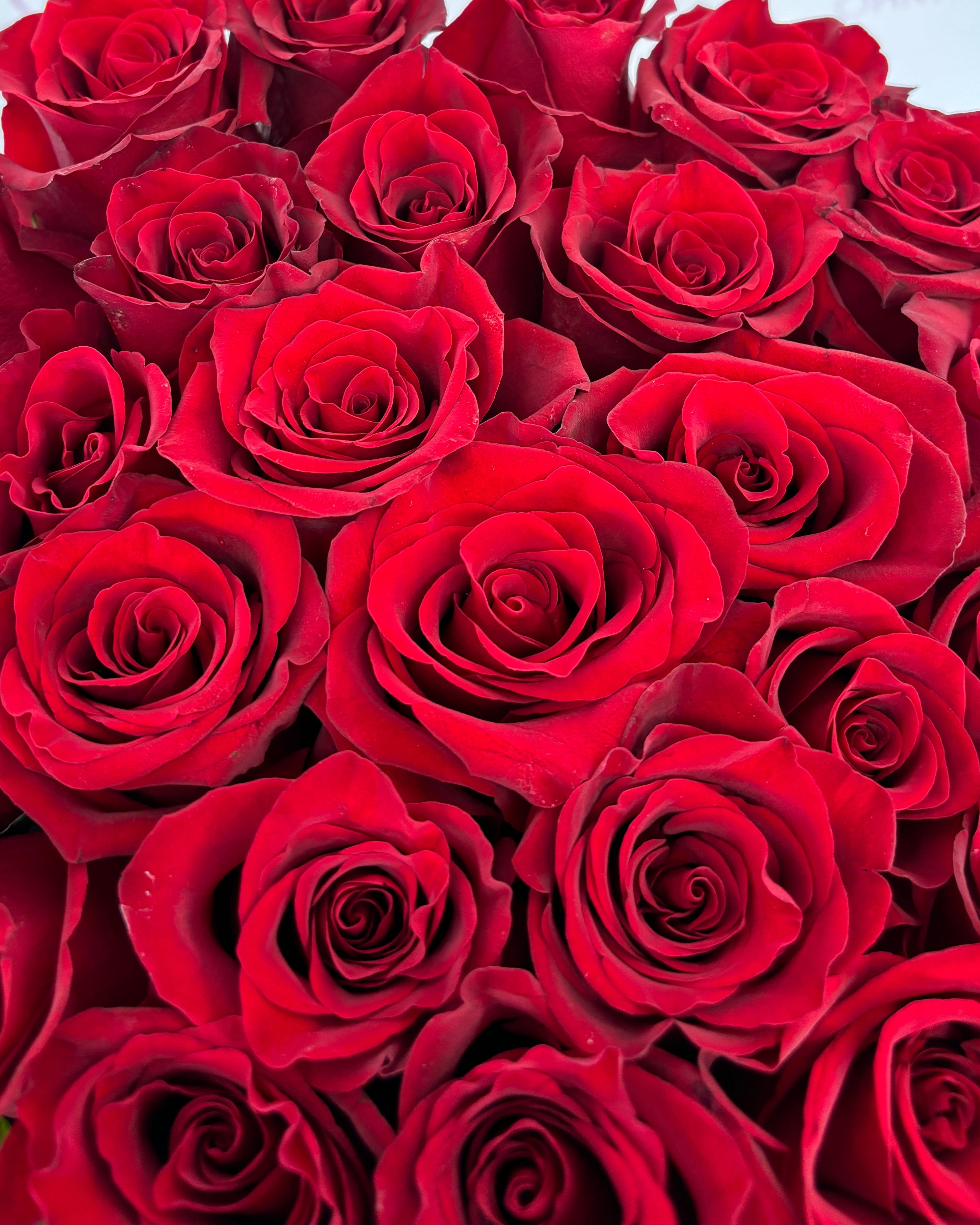 ETERNAL LOVE BOX