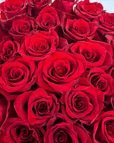 ETERNAL LOVE BOX